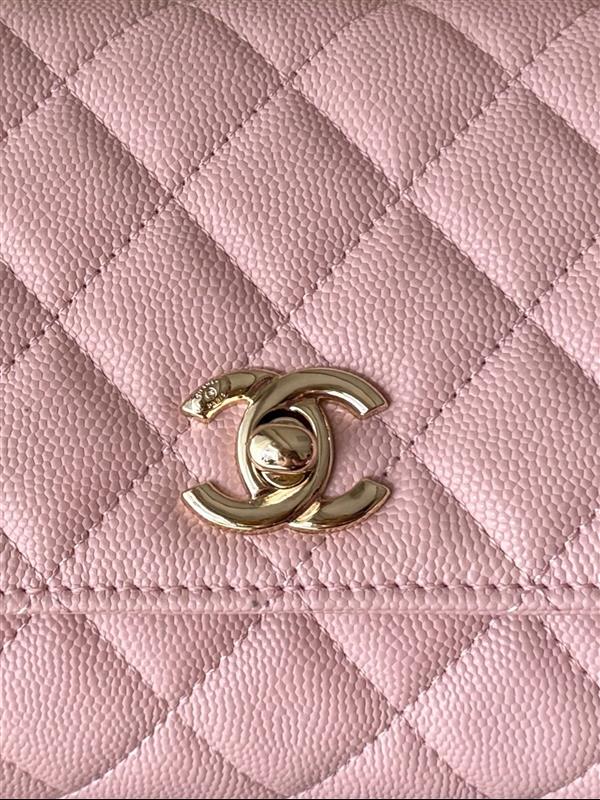 2026131222438542 700